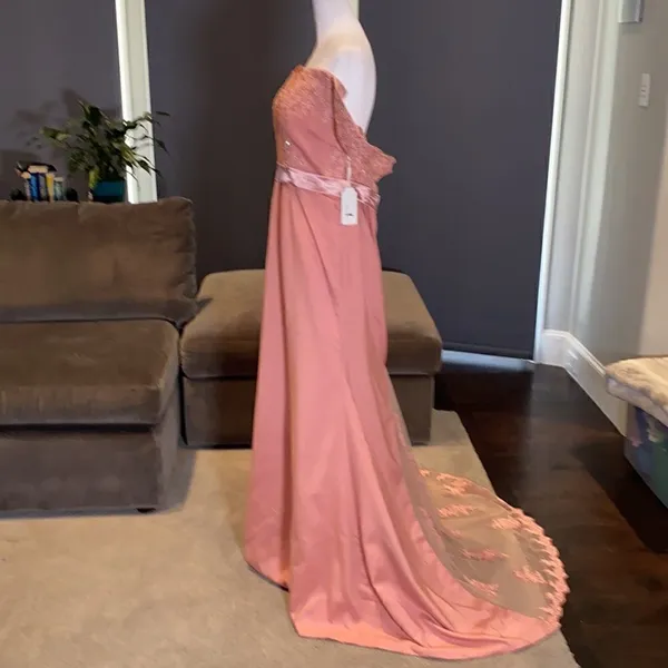 Women’s Dusty Pink Full Length Party Formal Dress Small Train Size 14 NWT - Image 4