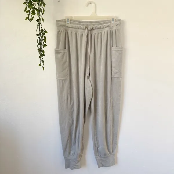 Aerie OFFLINE After Party Velour Jogger Sz M - Image 2