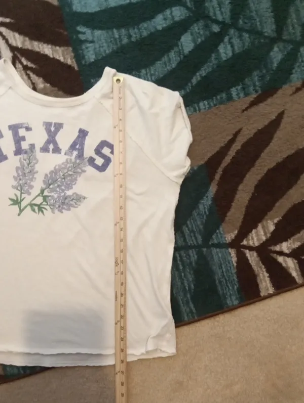 We The Free Texas Blubonet Graphic Tee Ivory Cotton Oversized Collegiate Relaxed - Image 11