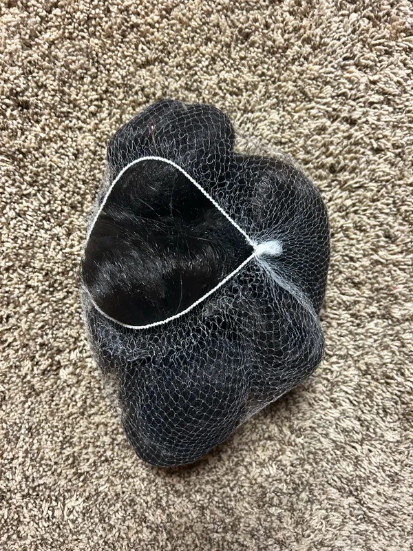Princess Leia Costume Wig - Image 2
