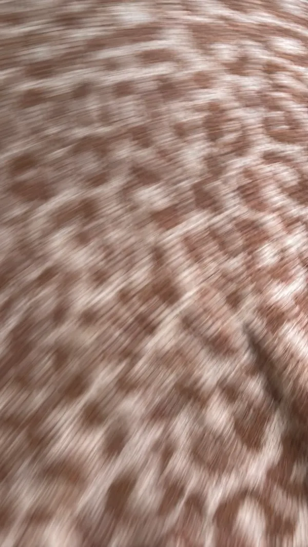 Show Me Your Mumu Sweater - Image 2