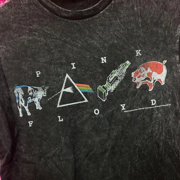 Pink Floyd Mineral Wash Logos Rock Tshirt size Small - Image 4