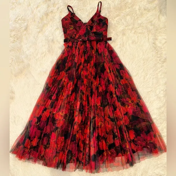NEW Hutch Joanna Moody Orchids Pleated Belted Sleeveless Gown Sz 2 - Image 4