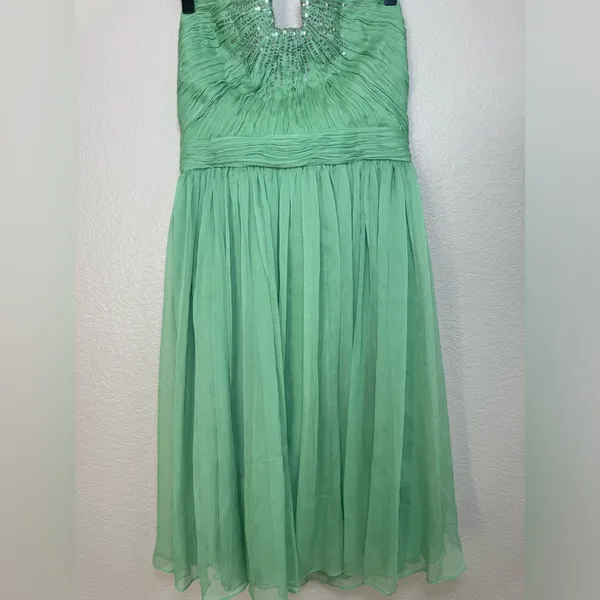 Halston Heritage Meadow Embellished Mint Green Strapless Chiffon Mini Dress $545 - Image 9