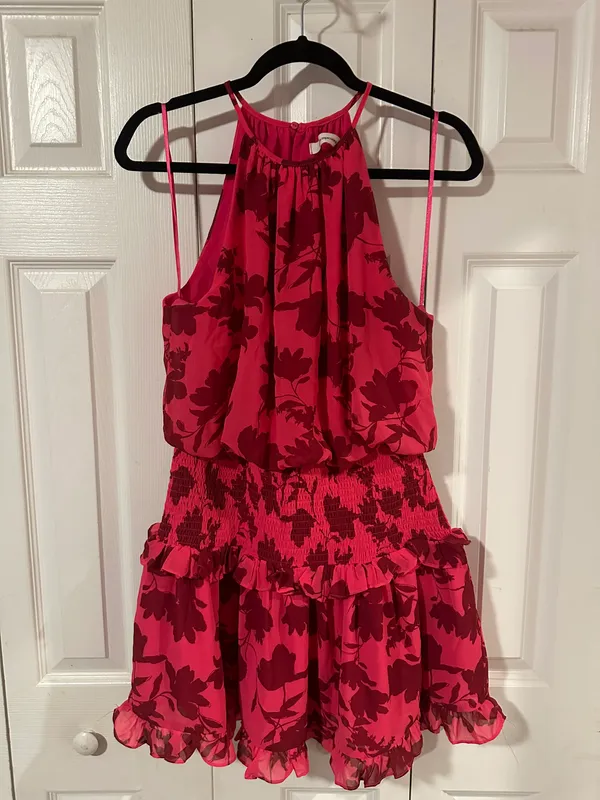 Impeccable Pig Dress - Image 2