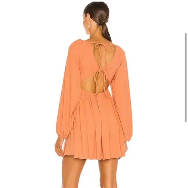 Giorgia Dress In Ginger - Image 3