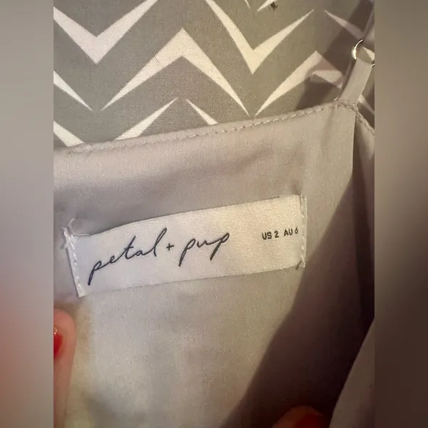 Petal and Pup | Naira Silver Pleated Midi Dress, size US2 - Image 6