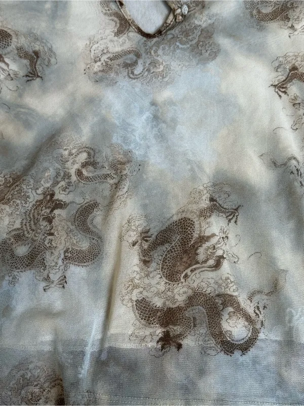 Vintage Semi Sheer Mesh Overlay Y2K Dragon Print Top Fairy Grunge Cyber Girl - Image 3