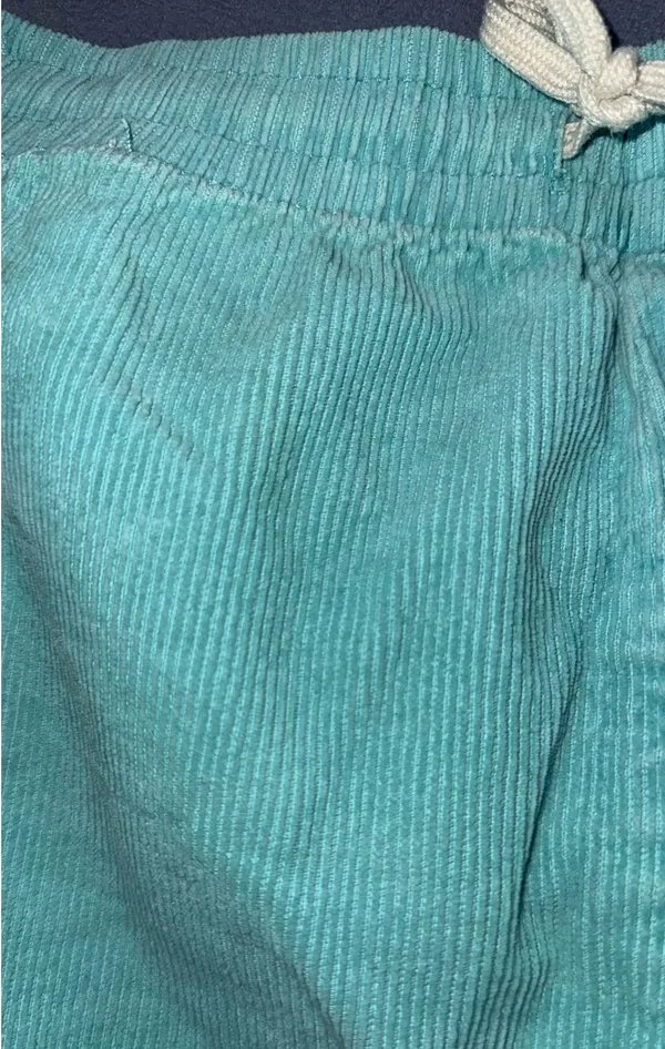 Teal Corduroy PacSun Shorts - Image 2