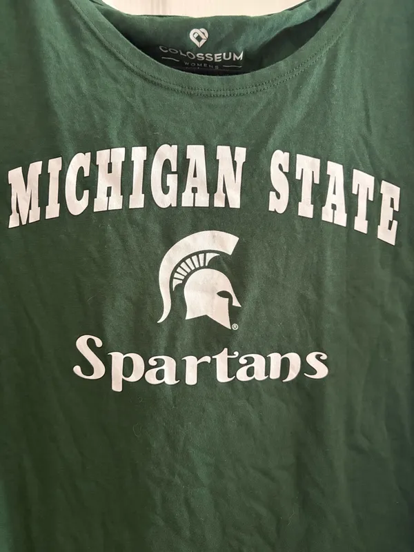 MSU Hooded Longsleeve - Image 2
