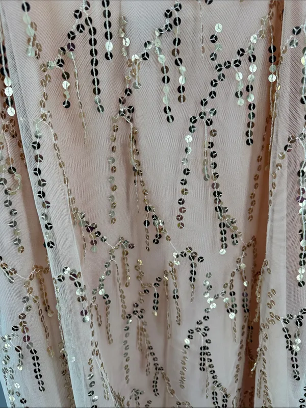 BloomChic Peach pink slip Dress sequin fringe mesh 18-20 party holiday HOCO - Image 7
