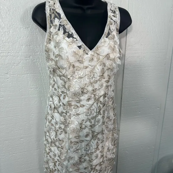 Adrienna Papell Off White Lace Overlay Sleeveless Dress Size 4 NWOT - Image 4