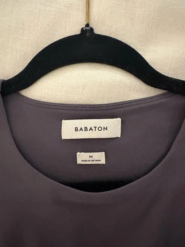 Aritzia Babaton Top - Image 2