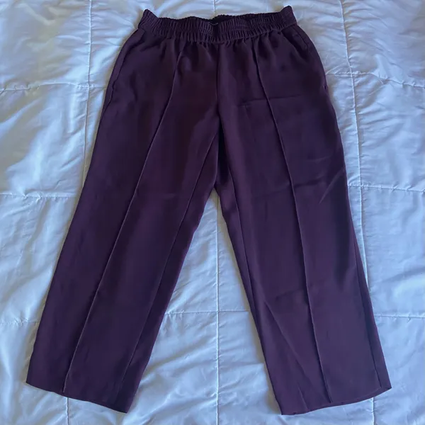 Ann Taylor Burgundy Wide-Leg Crop Dress Pants - Image 2
