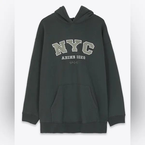 Anine Bing Vincent Hoodie NYC Charcoal Green - Image 15