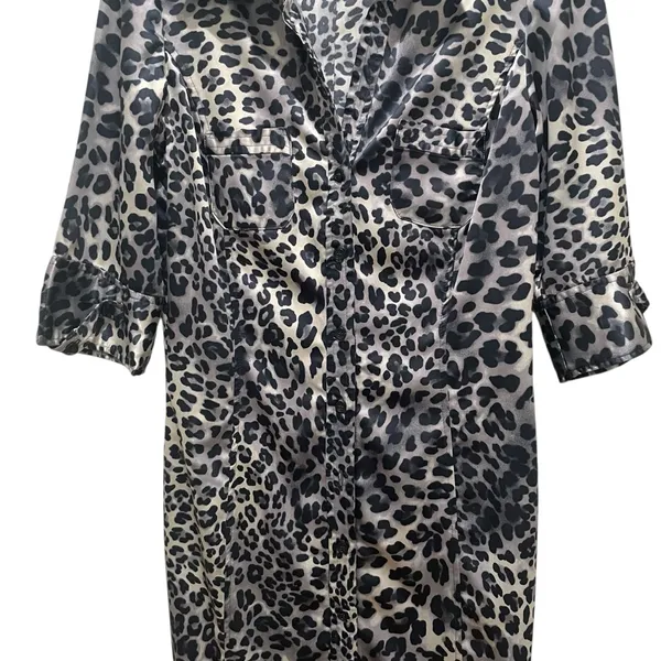 Zara Basic Leopard Print Button Front Dress Animal Print Black Women’s Medium - Image 3