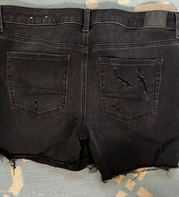 American Eagle Outfitters Shorts - Image 2