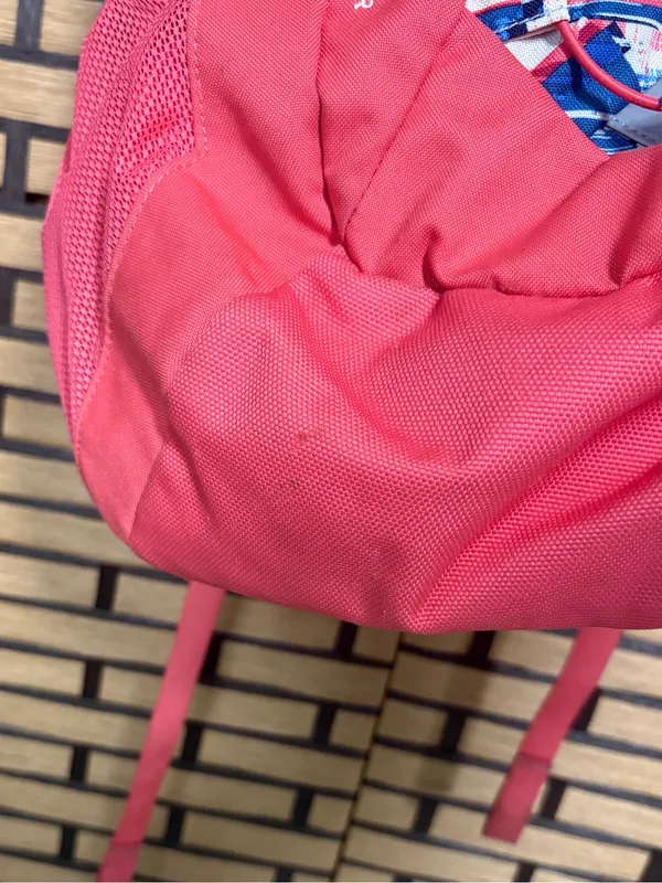 The North Face Coral And Blue Jester Backpack - Image 5