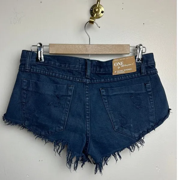 One by One Teaspoon Trash W*ores Black Shorts Sz. 26 - Image 5