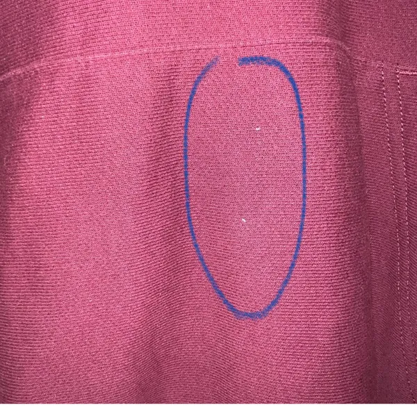 Champion Hoodie Unisex maroon  - Image 4