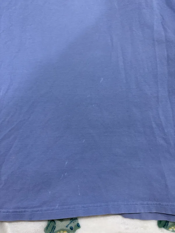 Comfort Wash Atlantis Dolphin Cay tee shirt - Image 5