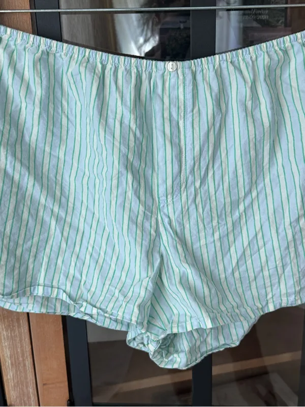 Aerie striped boxers shorts pajamas pinstriped mint flannel elastic waistband - Image 2