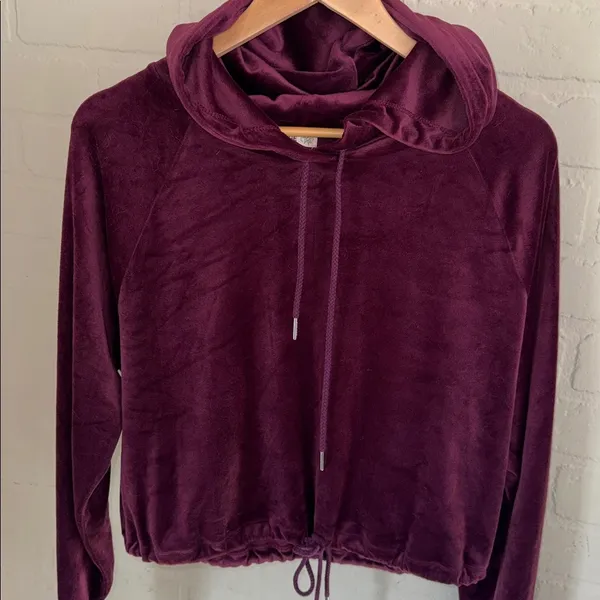 Garage velour cropped long sleeve hoodie Plush Burgundy large drawstring soft - Image 4