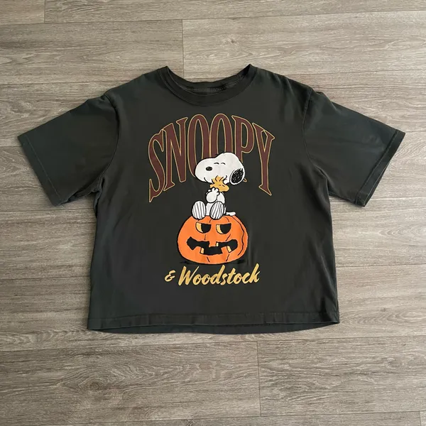 RSQ x Peanuts Snoopy & Woodstock Together Boxy Tee - medium - Image 2
