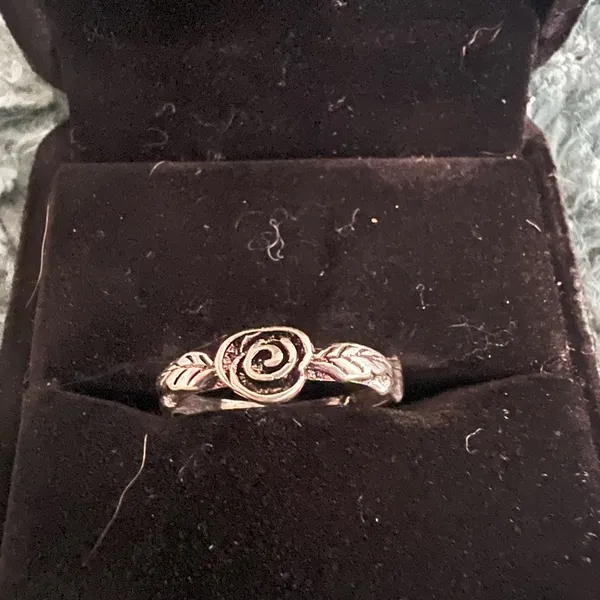 Women’s Stainless Steel Silver Band Size 7 - Image 2