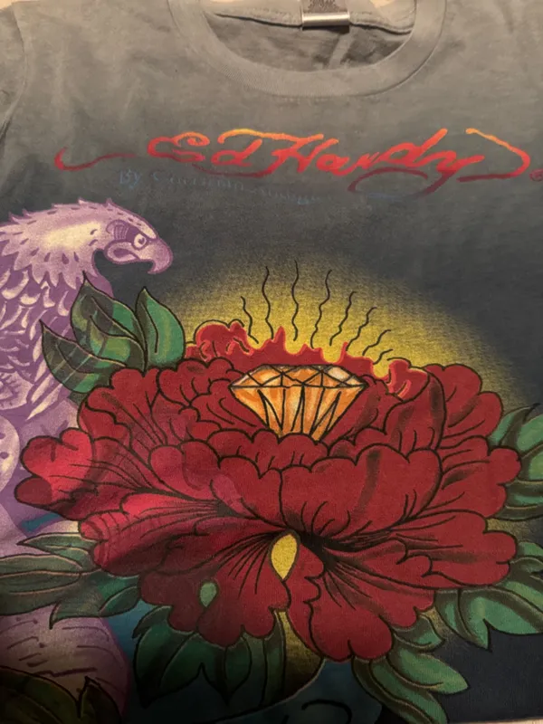 Ed Hardy Gray Dress with Red Floral and Purple Accents - Image 2