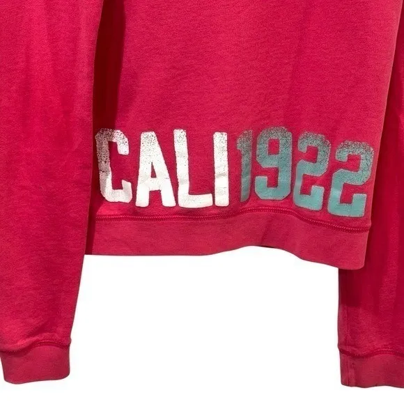 Y2K Hollister Spellout Pink Hooded Pullover Comfort Collegiate Coastal Size M - Image 7