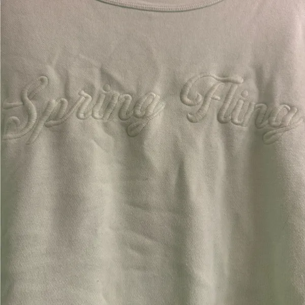 Aerie Crew Spring Fling Pleated Oversized Sleeve Real Fleece Sweatshirt - size L - Image 2