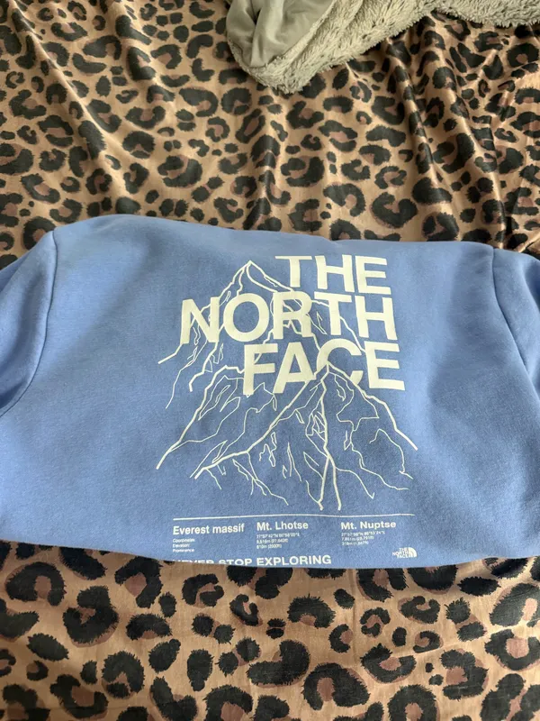 The North Face Hoodie - Image 3