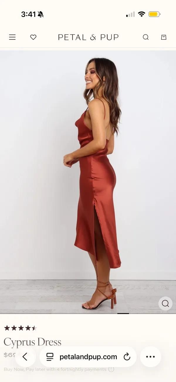 Petal & Pup Cypress Dress - Rust - Image 3