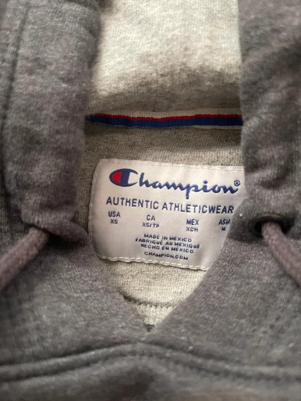 Champion Hoddie - Image 2