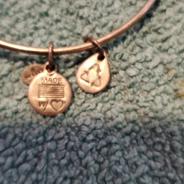 Alex & Ani Bangle Bracelet - Image 3