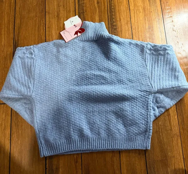 Pink Rose Cropped Turtleneck Sweater - Image 2