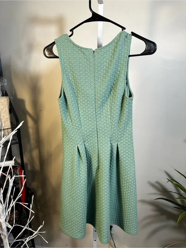 X100. Blue Rain- Sleeveless Textured Mint Green A-Line Mini Dress - Image 3