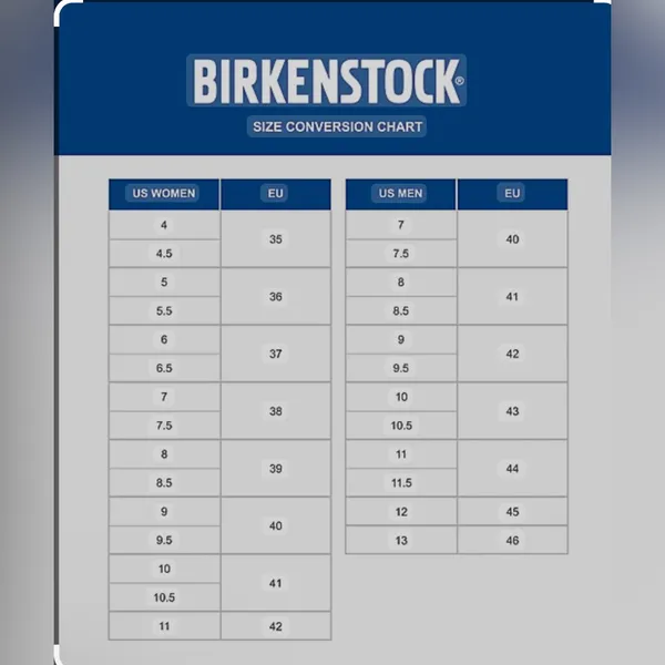 BIRKENSTOCK WOMEN'S GIZEH BIG BUCKLE DOVE GRAY Size 39 NEW - Image 4