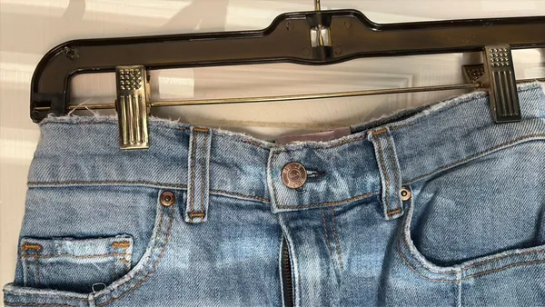 Revice Denim Star Denim Shorts - Image 4