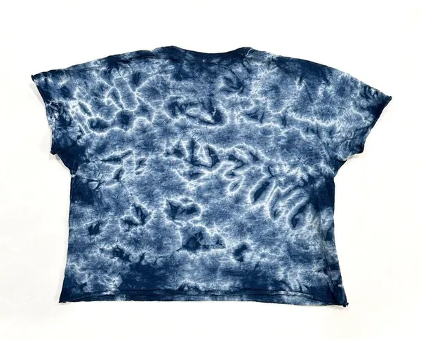The Original Retro Brand U of Michigan Wolverines Tie Dye Crop Graphic T-shirt - Image 6