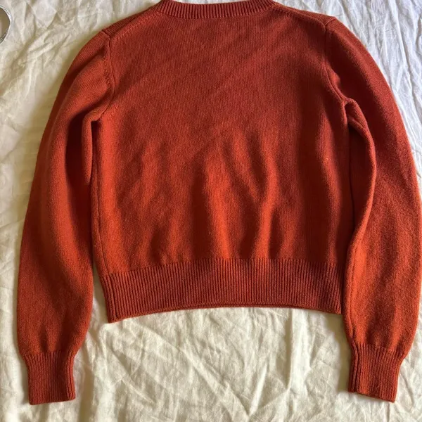 Aritzia Wilfred Free Palomino Merino Wool V Neck Sweater Orange Size Medium - Image 8