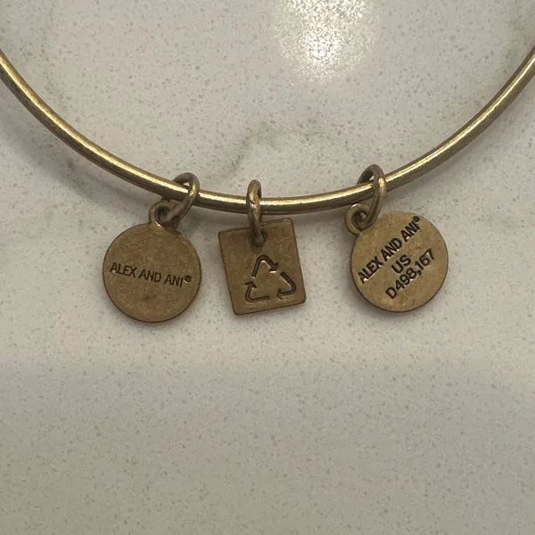 Alex and Ani Gold Nautical Wheel Charm Bangle Bracelet - Image 4