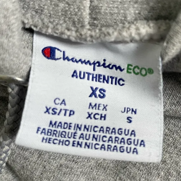Gray Champion Logo Hoodie - Image 4
