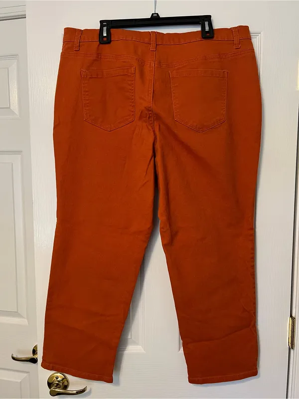 Gloria Vanderbilt Amanda cotton jean in burnt orange 20W Short - Image 2