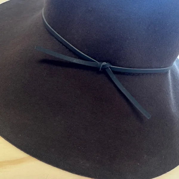 NWT Aritzia Talula Baylis Hat Espresso‎ Brown Wool Floppy Wide Brim Packable S/M - Image 4