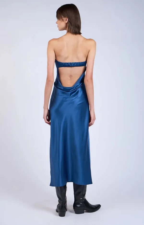 Satin Silk Backless Amazon Tube Top Maxi Dress - Image 2