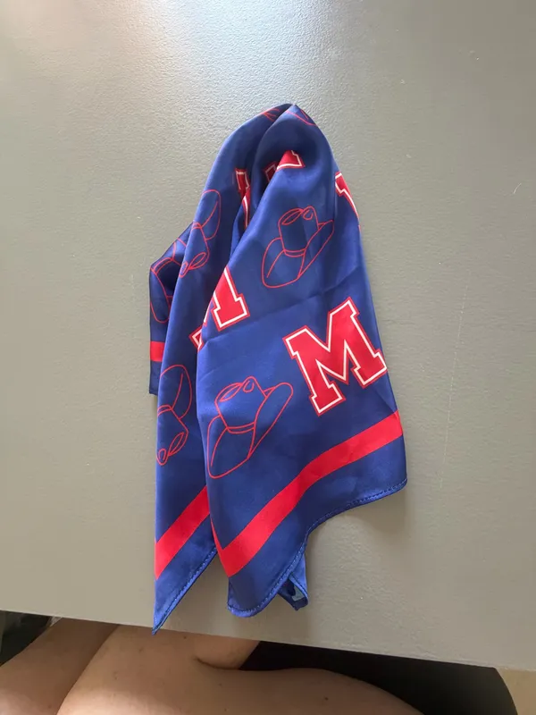 Ole Miss Scarf Blue - Image 4