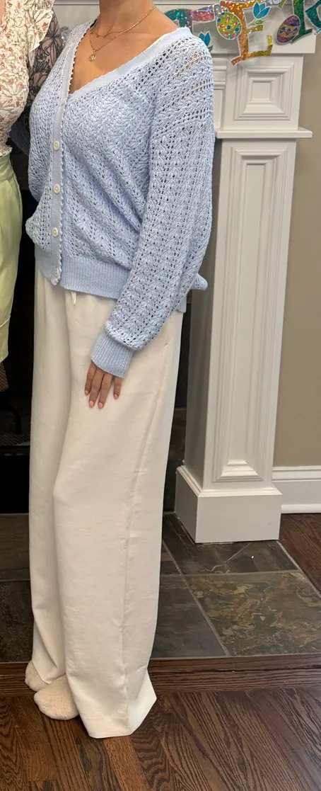Aritzia Wilfred Blue Sweater - Image 2