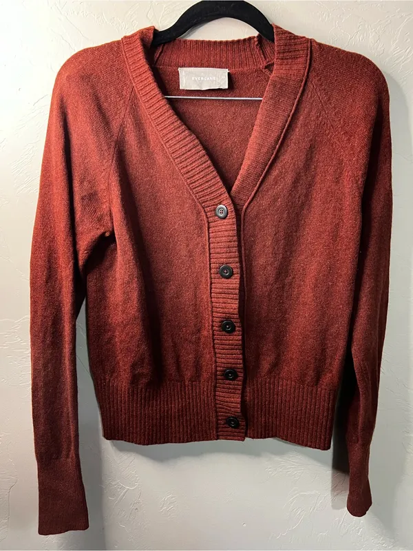 Everlane ReCashmere Wool Rust Red Varsity V Neck Button Front Cardigan Sweater - Image 2